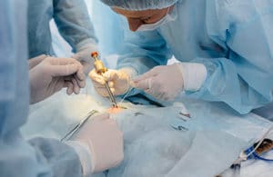 Cirugía veterinaria en Madrid